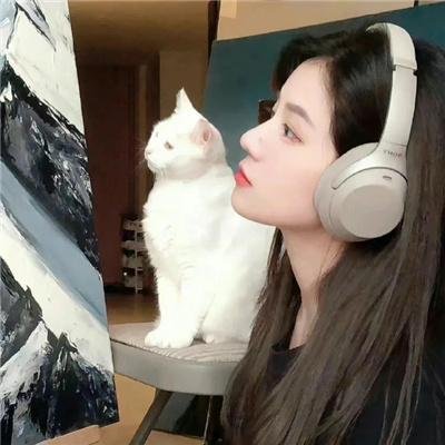 驴嘎上电视